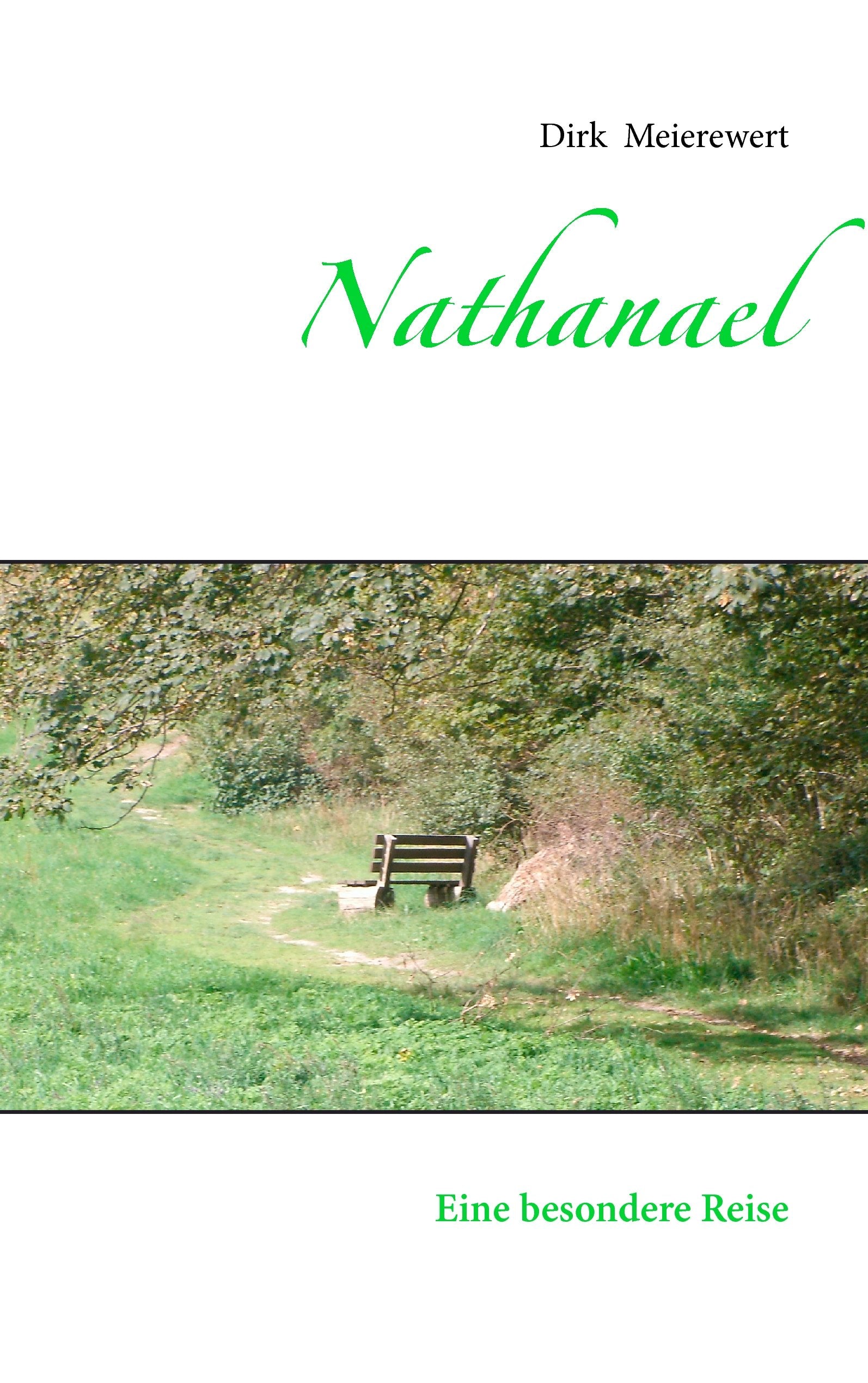 Nathanael: Eine besondere Reise Business, Finance & Career