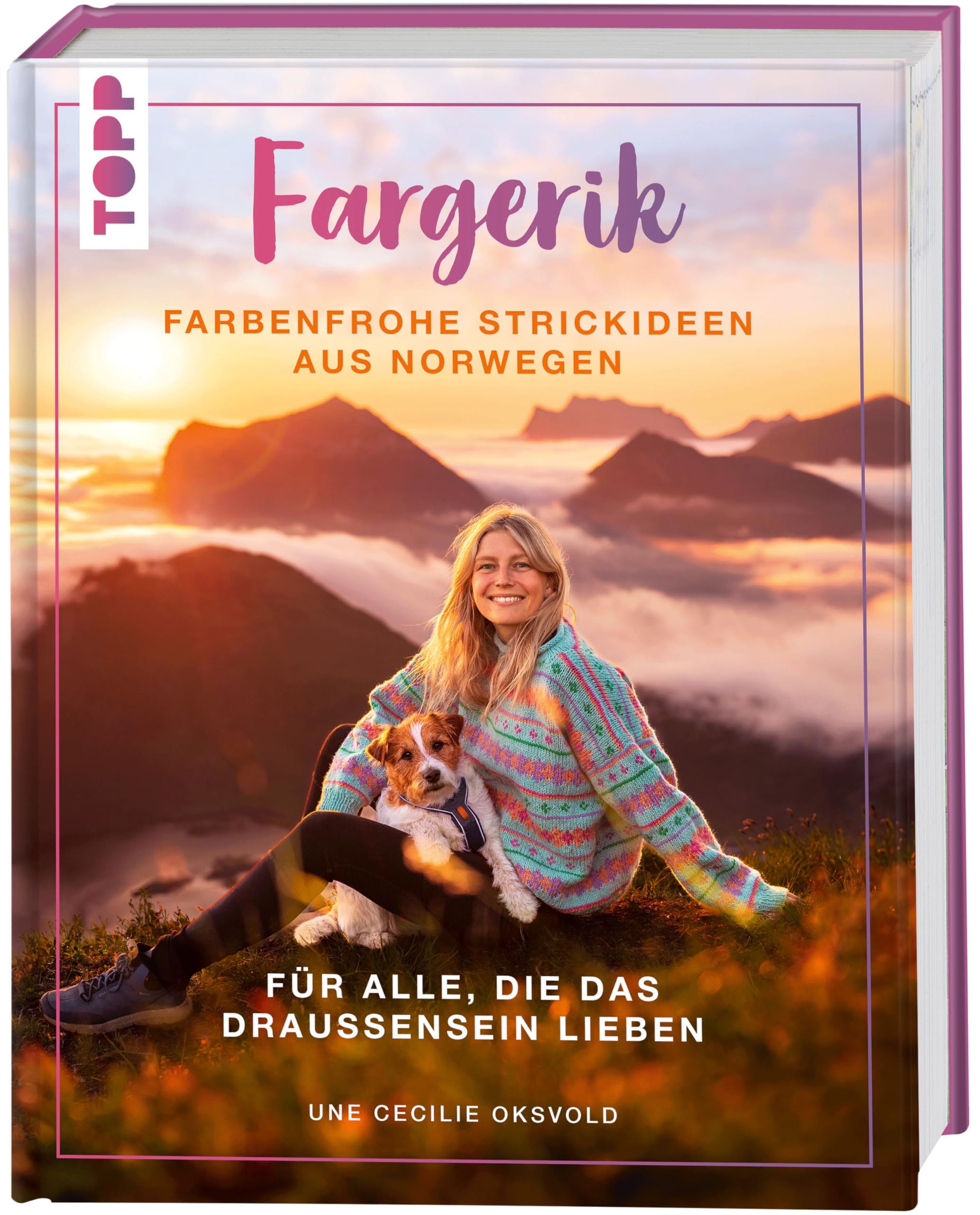 Fargerik - Farbenfrohe Strickideen aus Norwegen Business, Finance & Career