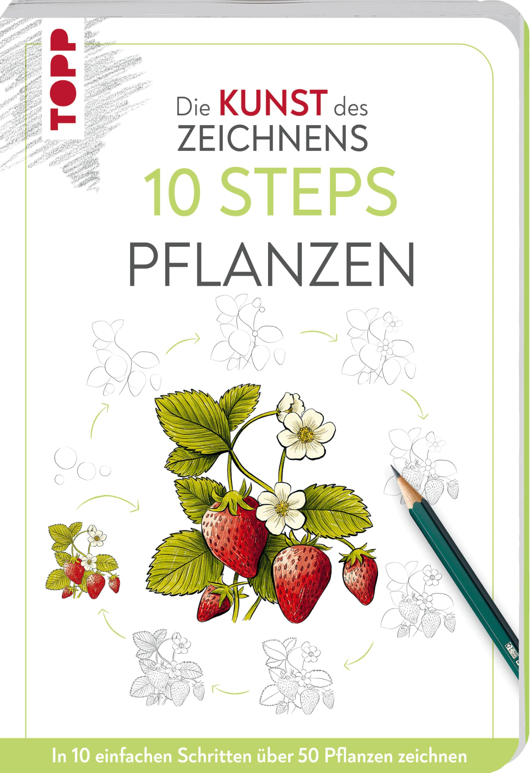 Die Kunst des Zeichnens 10 Steps - Pflanzen Arts & Music