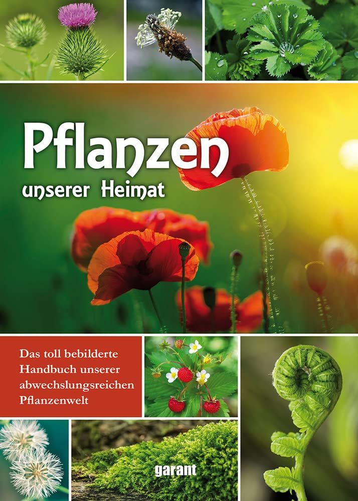 Pflanzen unserer Heimat: Das toll bebilderte Handbuch unserer abwechslungsreichen Pflanzenwelt Leisure, Home & Garden