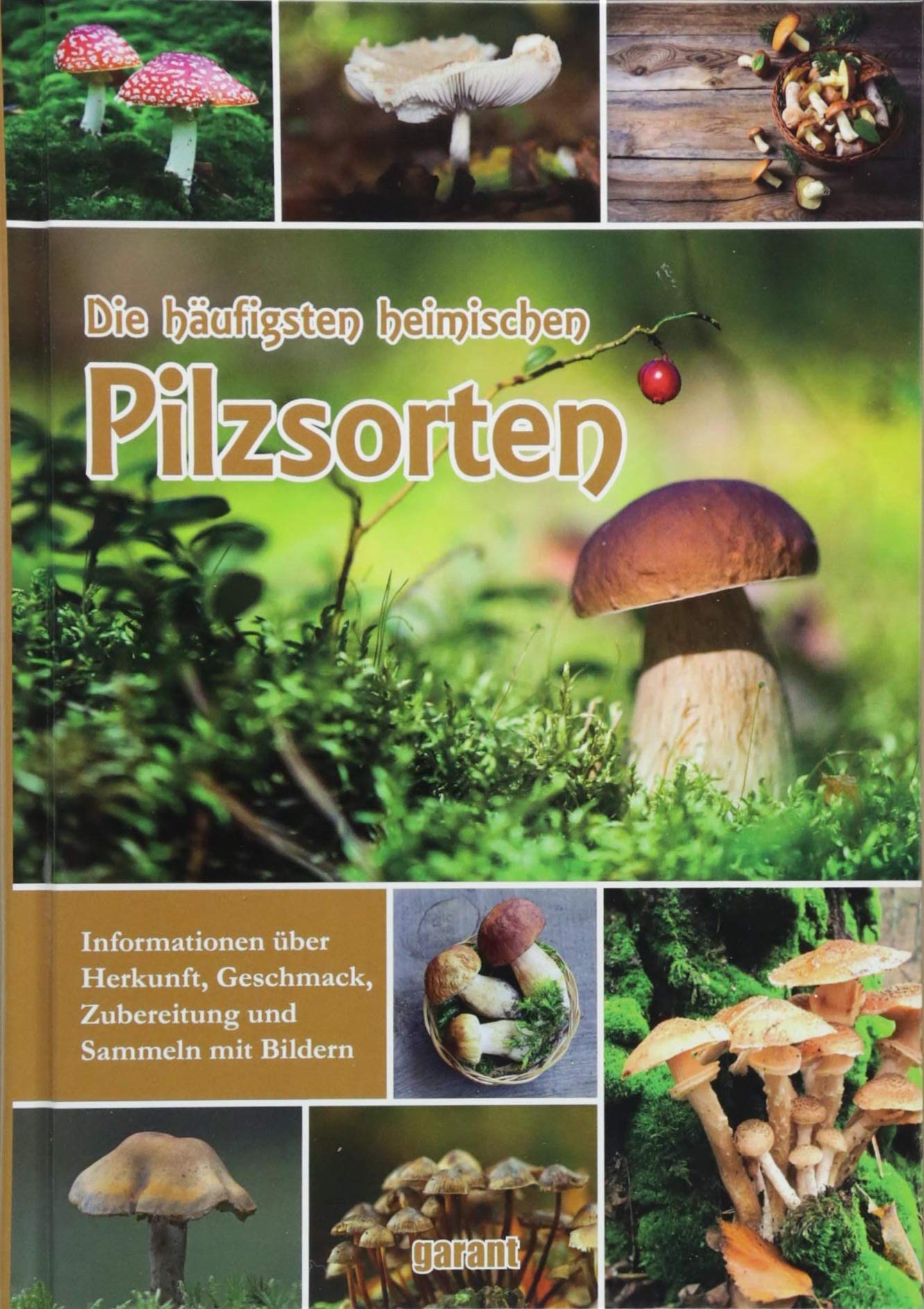 Die häufigsten heimischen Pilzsorten Leisure, Home & Garden