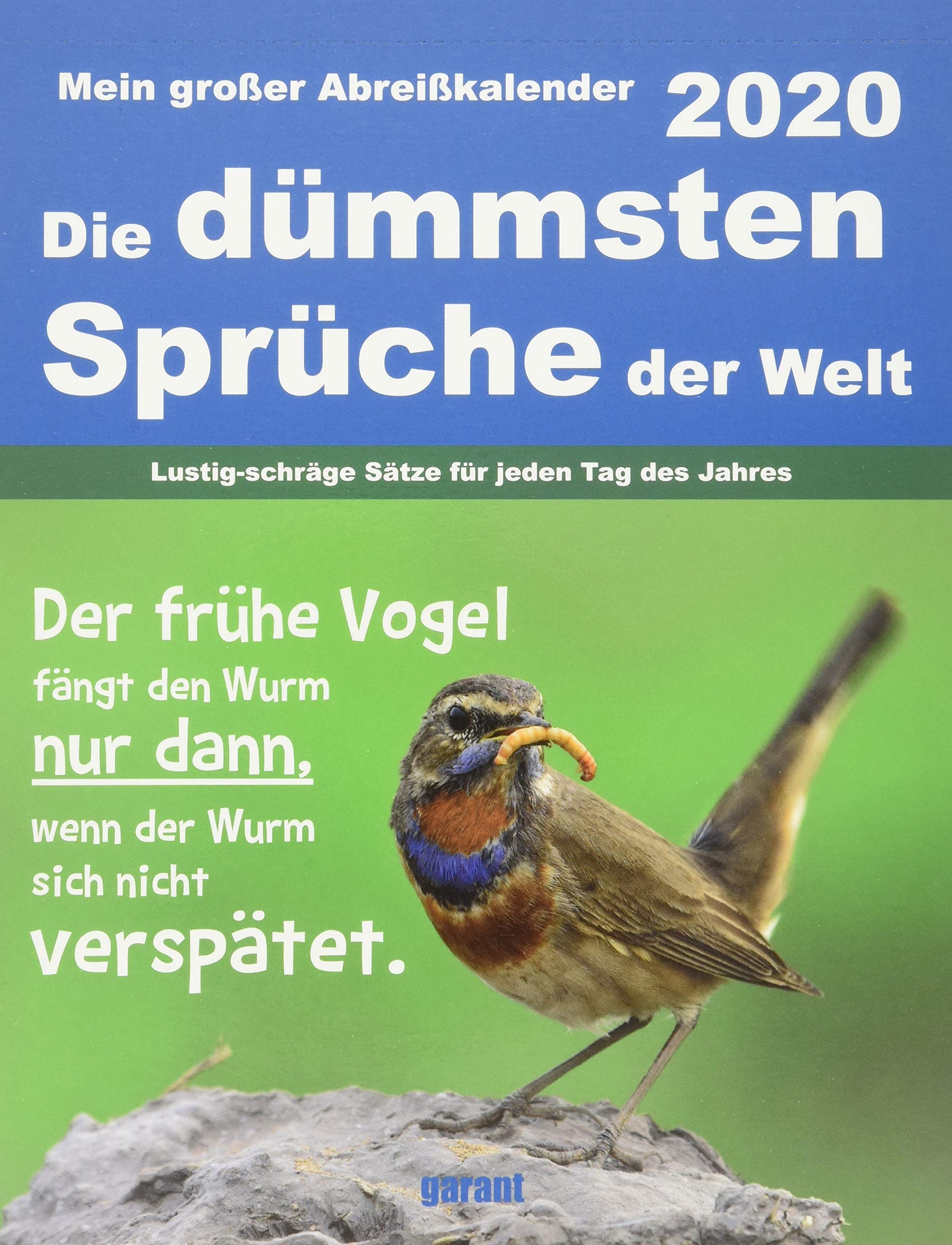 Abreißkalender Die dümmsten Sprüche 2020: Die dümmsten Sprüche 2020 Leisure, Home & Garden