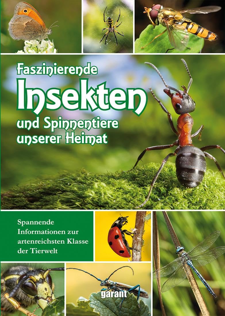 Faszinierende Insekten und Spinnentiere unserer Heimat: Spinnentiere unserer Heimat Garden & Plants