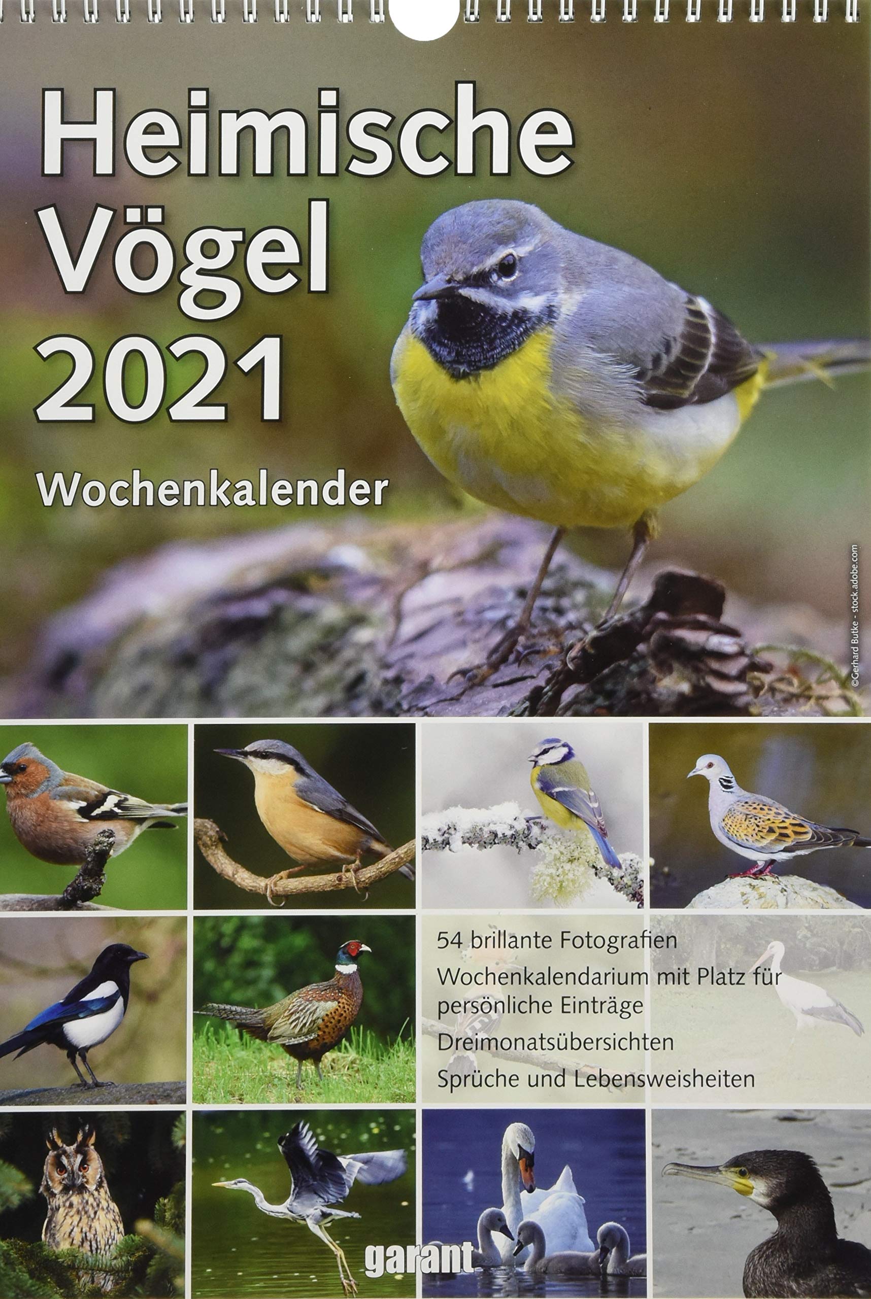 Wochenkalender Heimische Vögel 2021 Leisure, Home & Garden