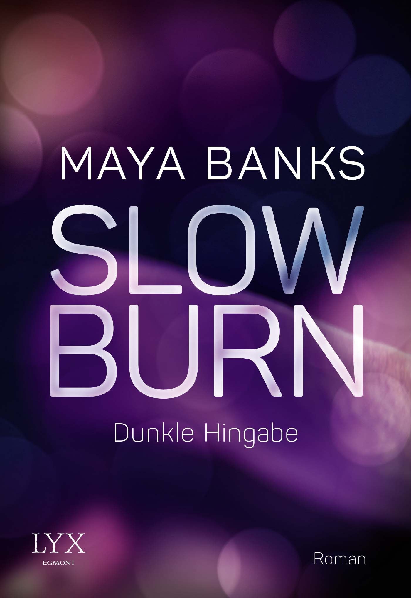 Slow Burn 01 - Dunkle Hingabe Contemporary literature Books