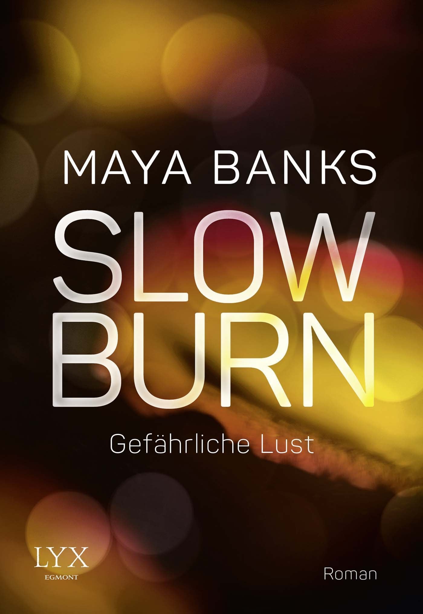 Slow Burn 03 - Gefährliche Lust Contemporary literature