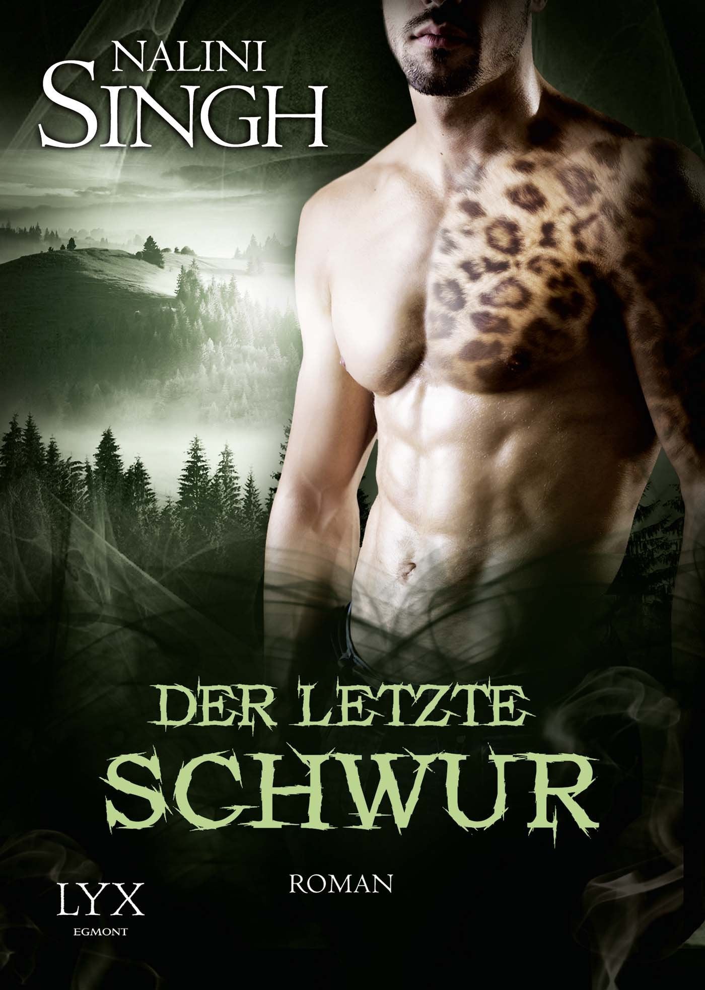 Product Image: Der letzte Schwur