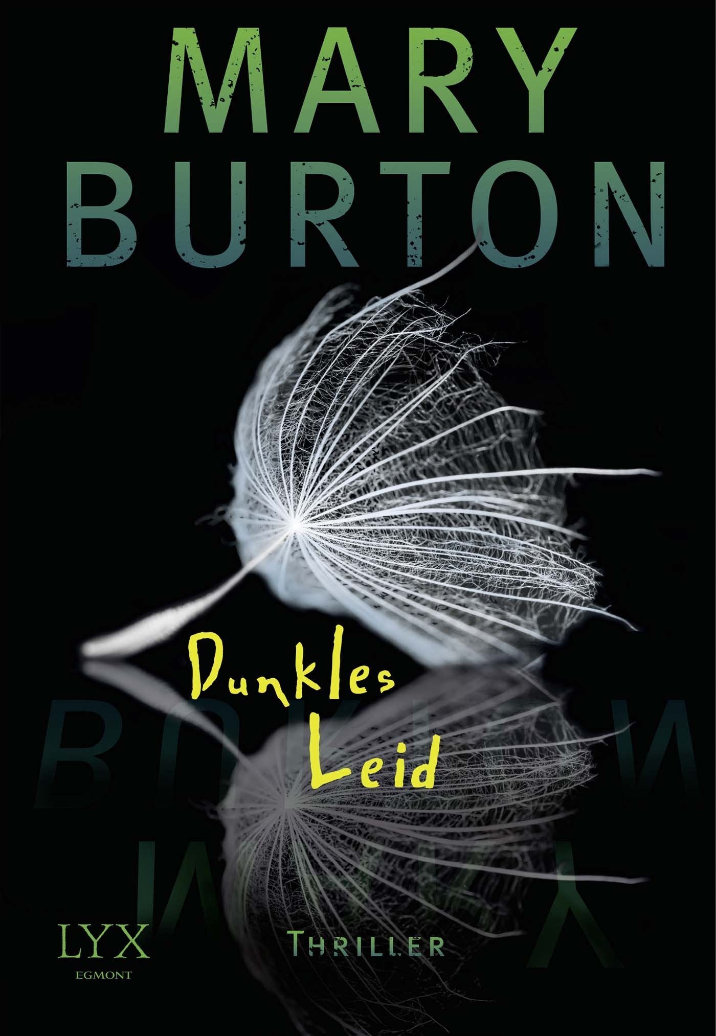 Dunkles Leid: Thriller Contemporary literature