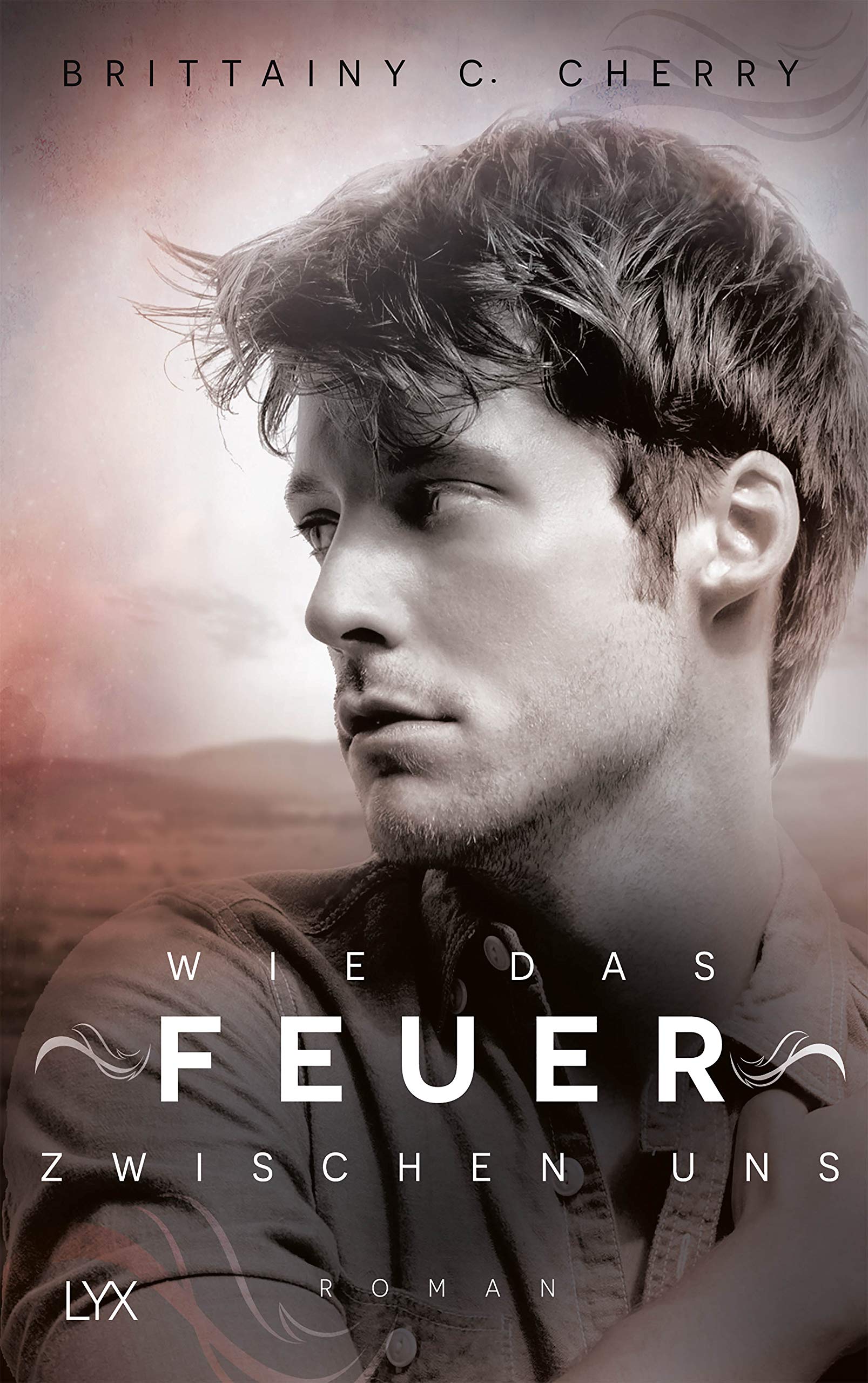 Wie das Feuer zwischen uns Contemporary literature