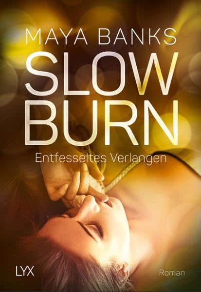 Slow Burn 04 - Entfesseltes Verlangen Contemporary literature Books