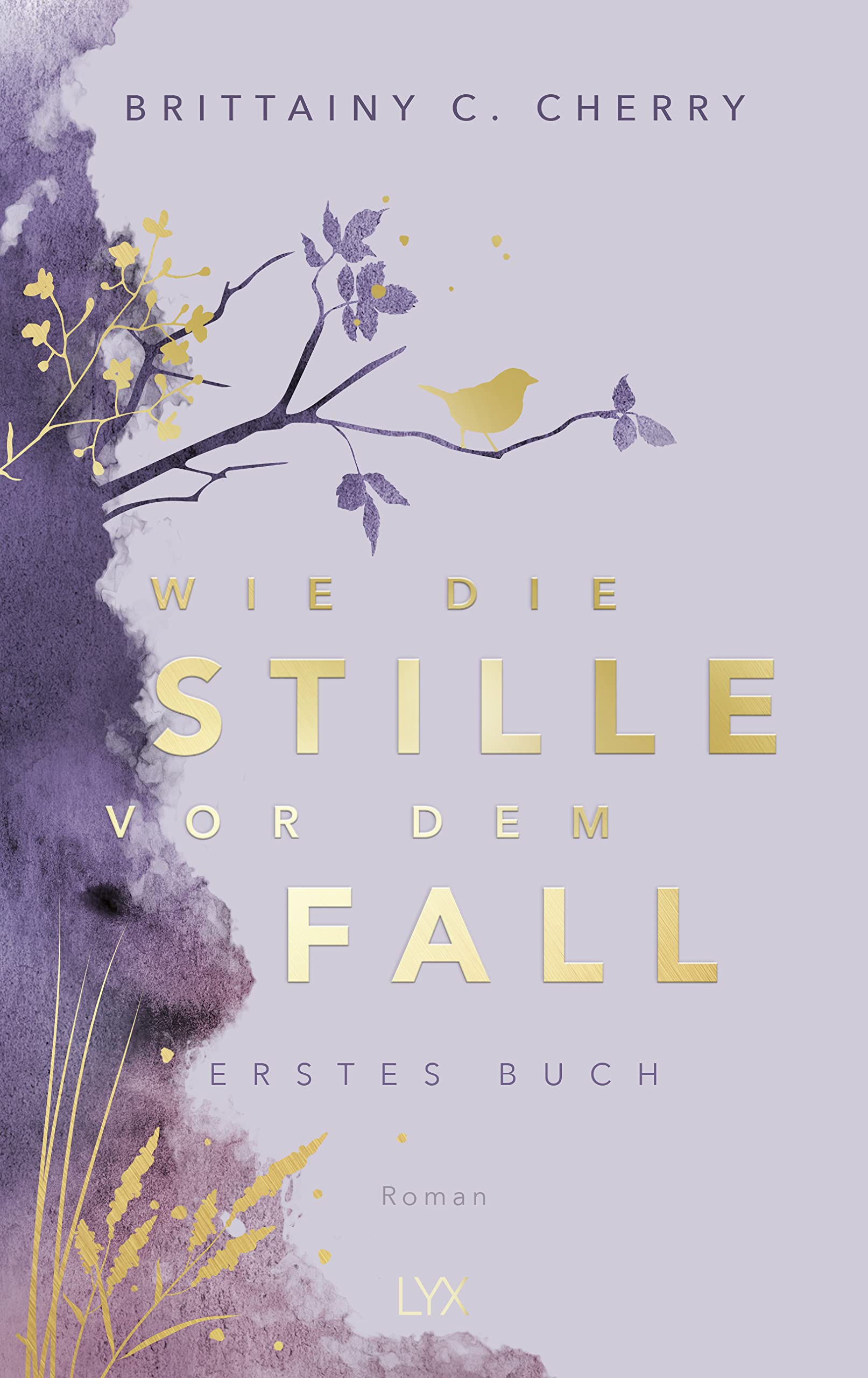 Wie die Stille vor dem Fall. Erstes Buch: Special Edition Contemporary literature