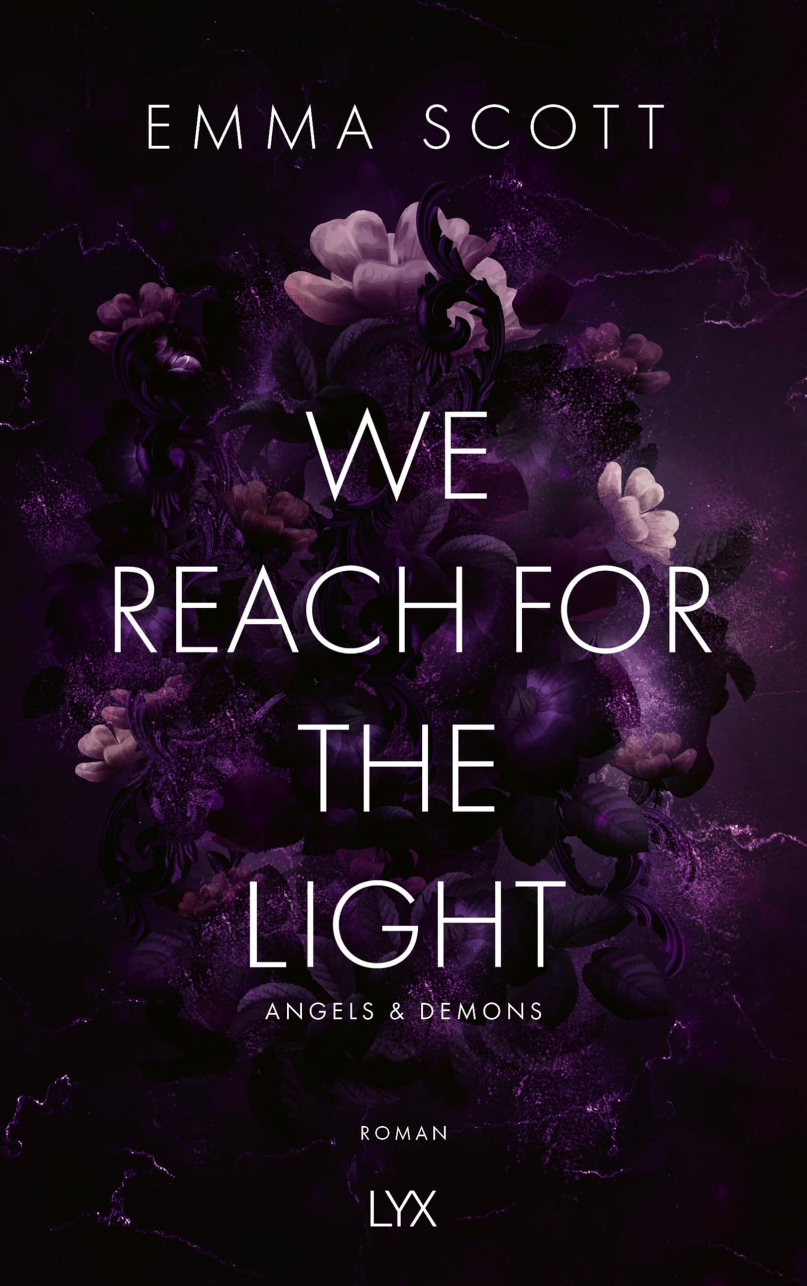 We Reach for the Light Contemporary literature Books
