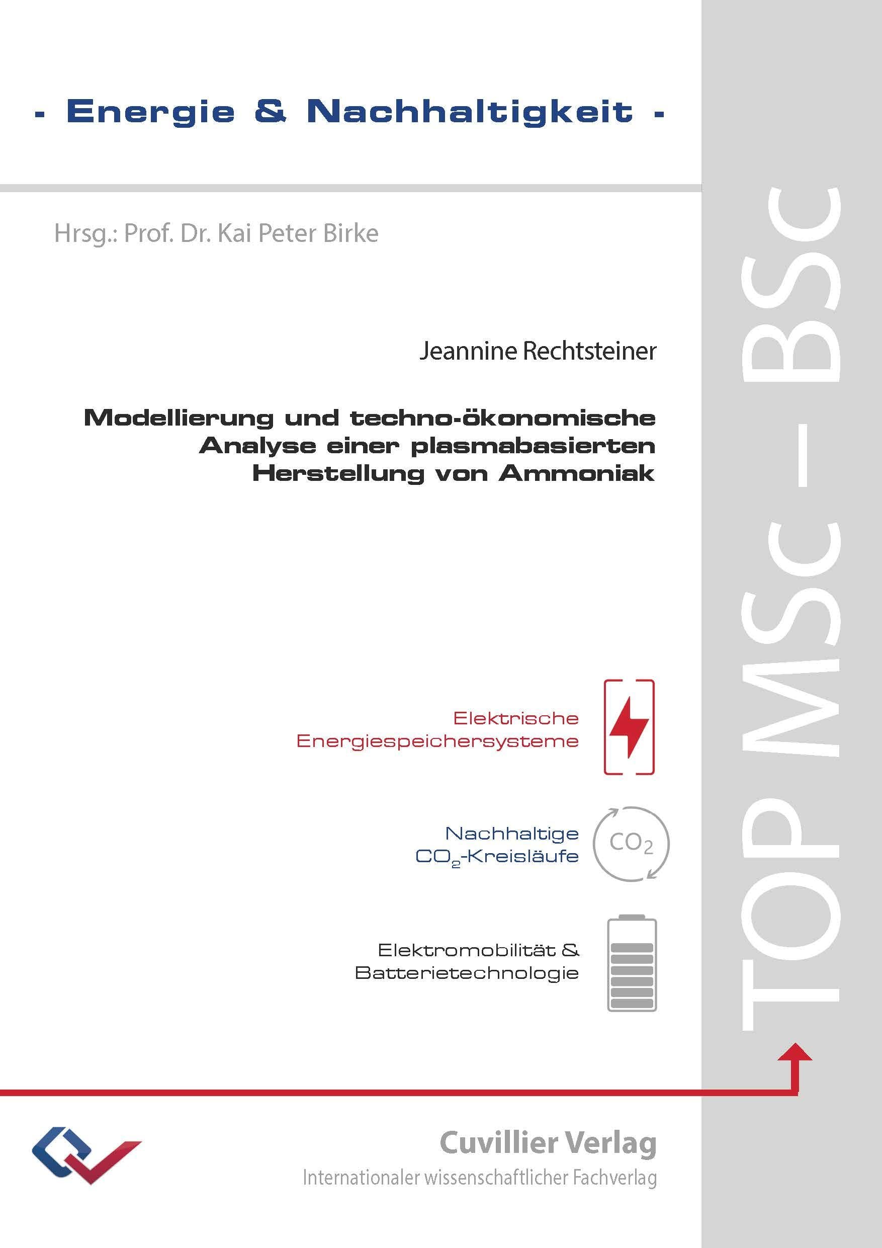Modellierung und techno-ökonomische Analyse einer plasmabasierten Herstellung von Ammoniak Business & Technology