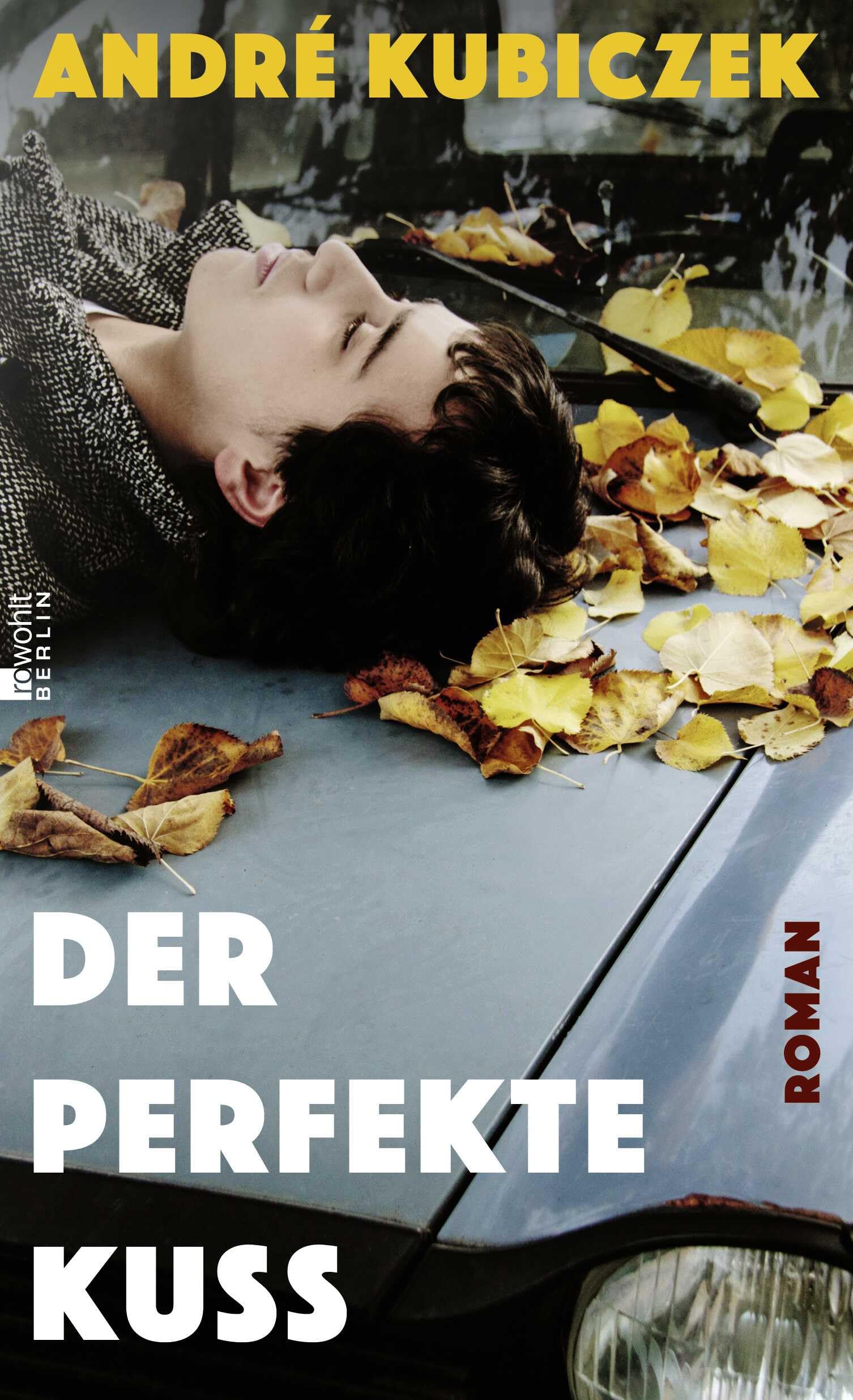 Der perfekte Kuss Contemporary literature Books