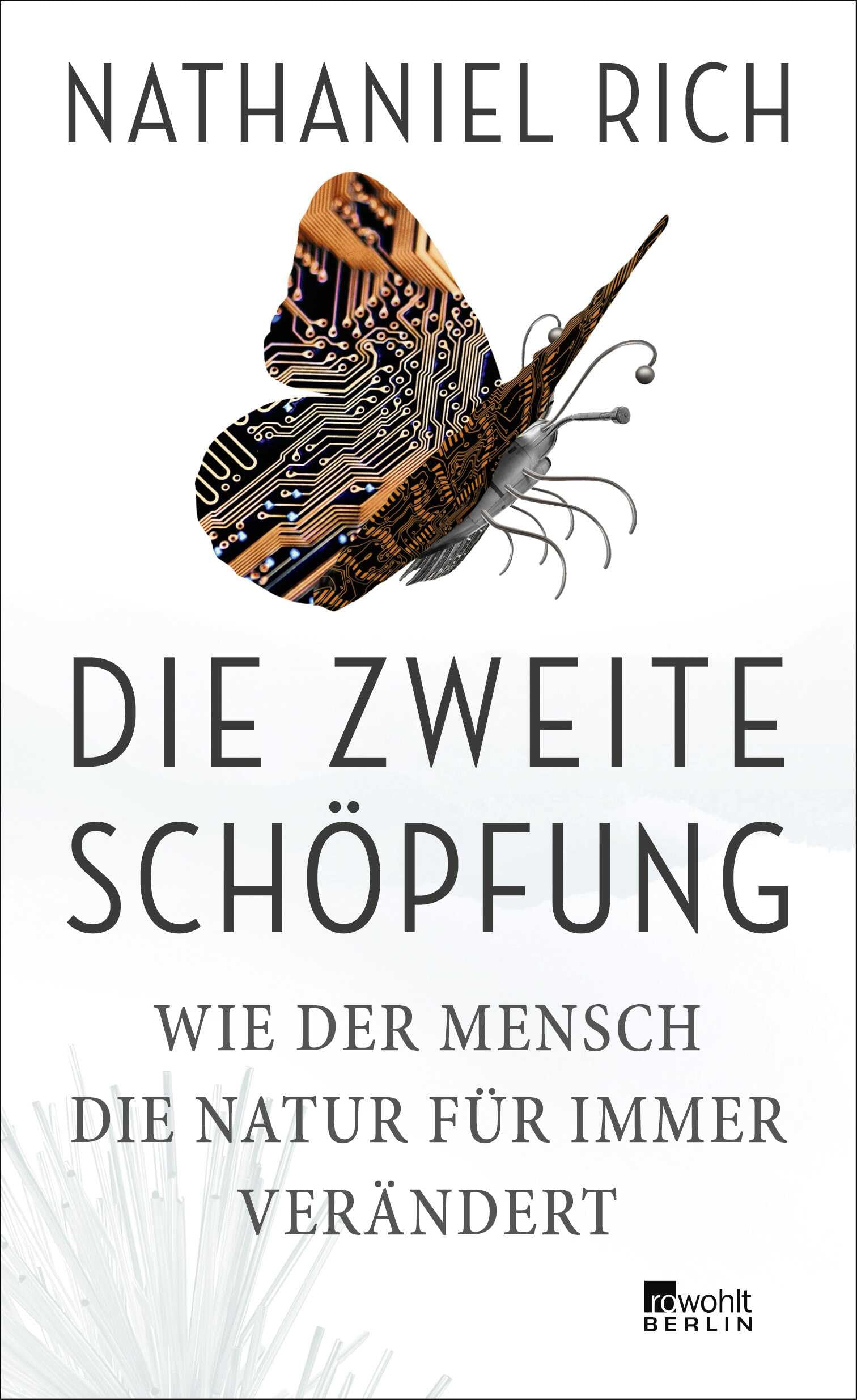 Product Image: Die zweite Schöpfung