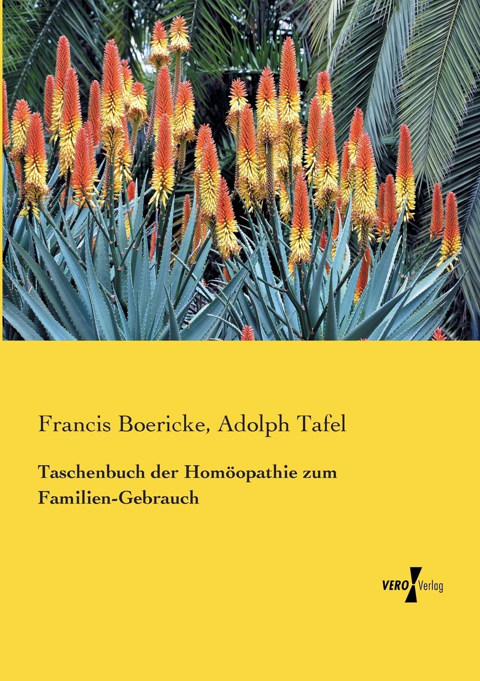 Taschenbuch der Homoeopathie zum Familien-Gebrauch Medicine
