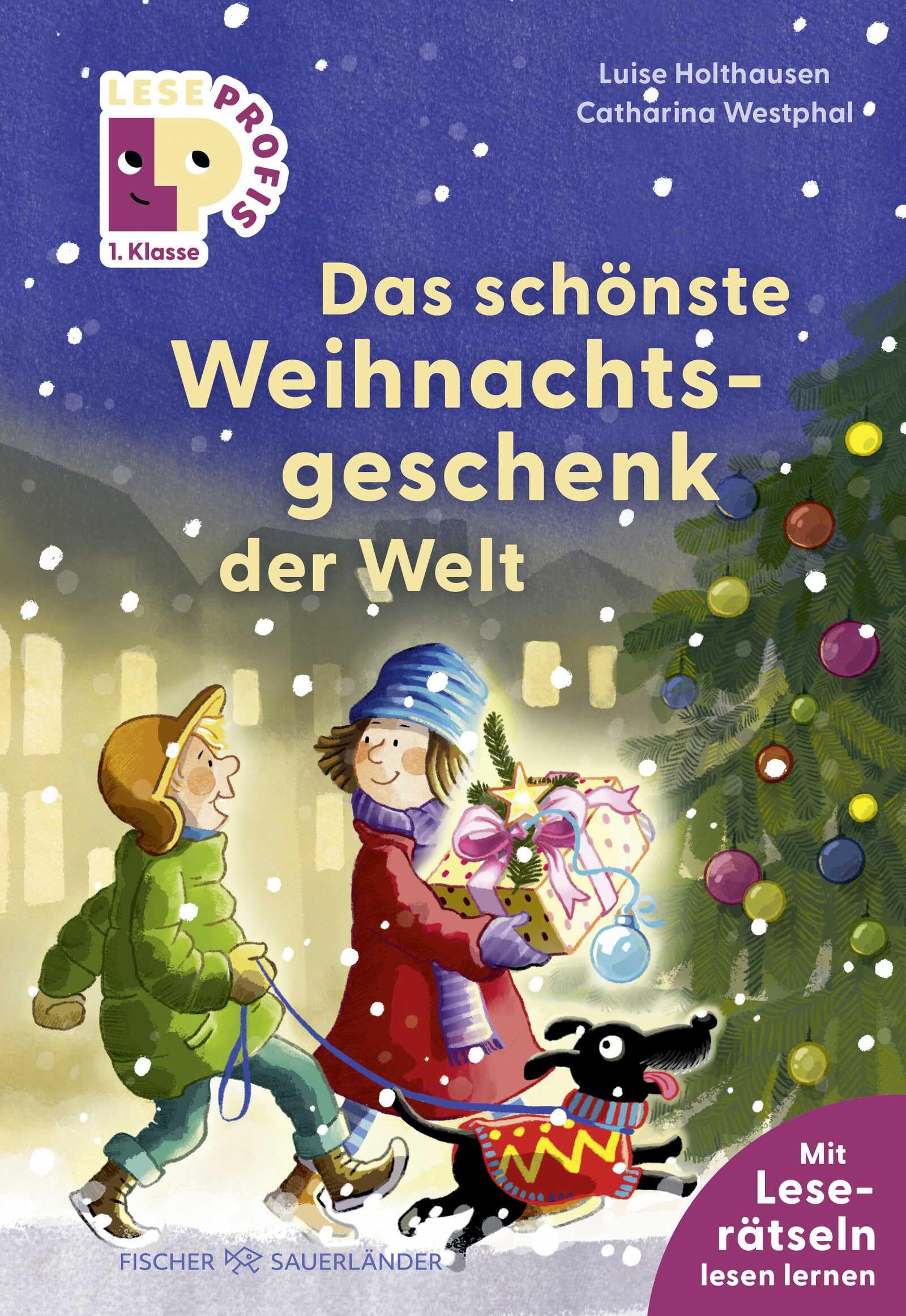 Leseprofis - Das schönste Weihnachtsgeschenk der Welt, 1. Klasse book