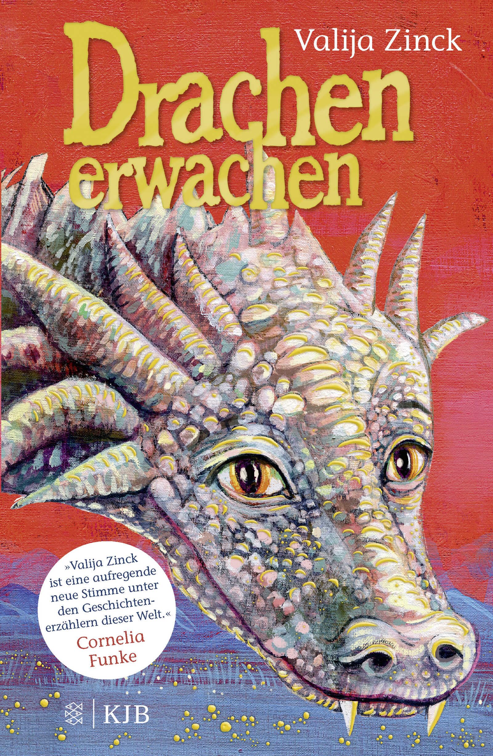 Drachenerwachen Business & Technology Books