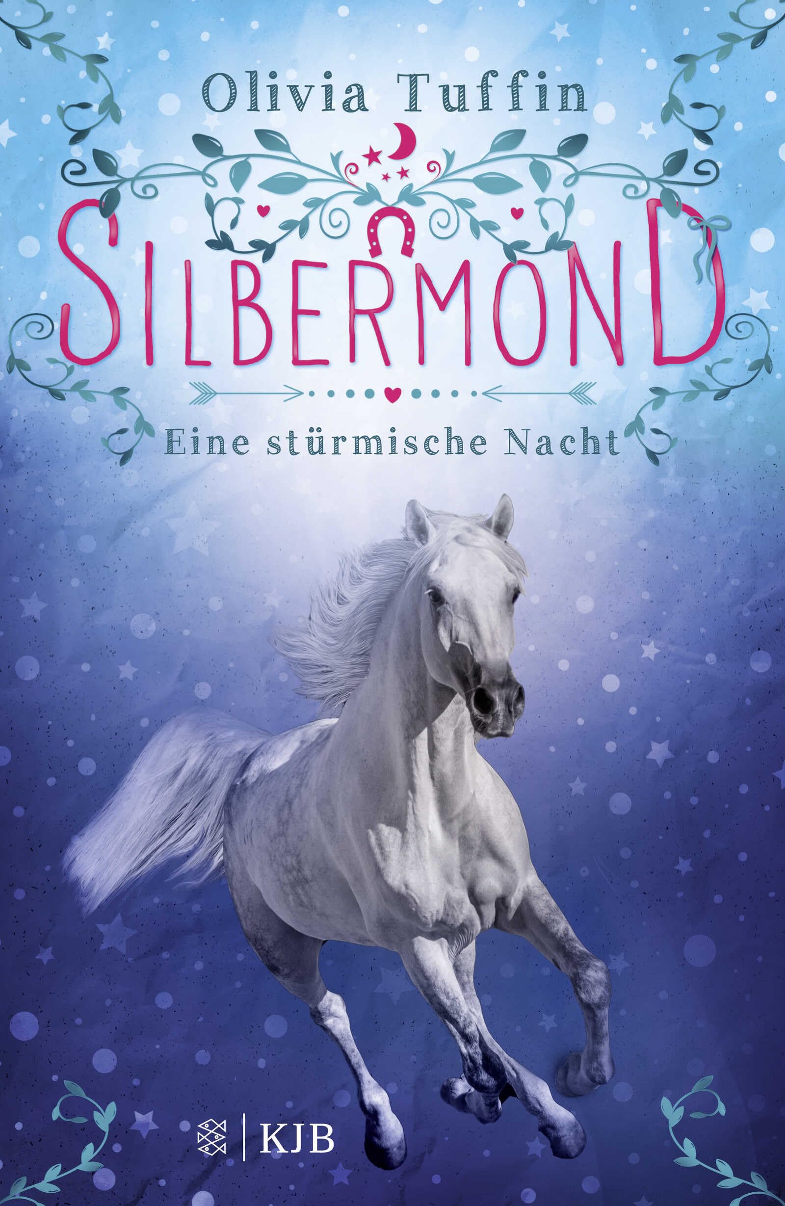 Silbermond 2: Eine stürmische Nacht Novels & Short Stories