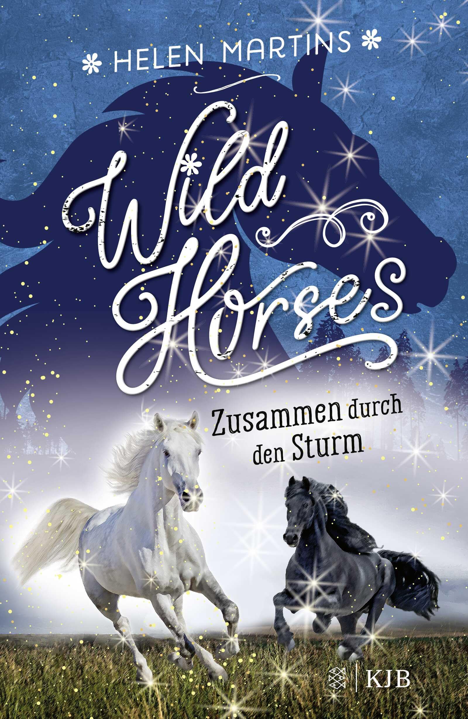Wild Horses - Zusammen durch den Sturm Novels & Short Stories