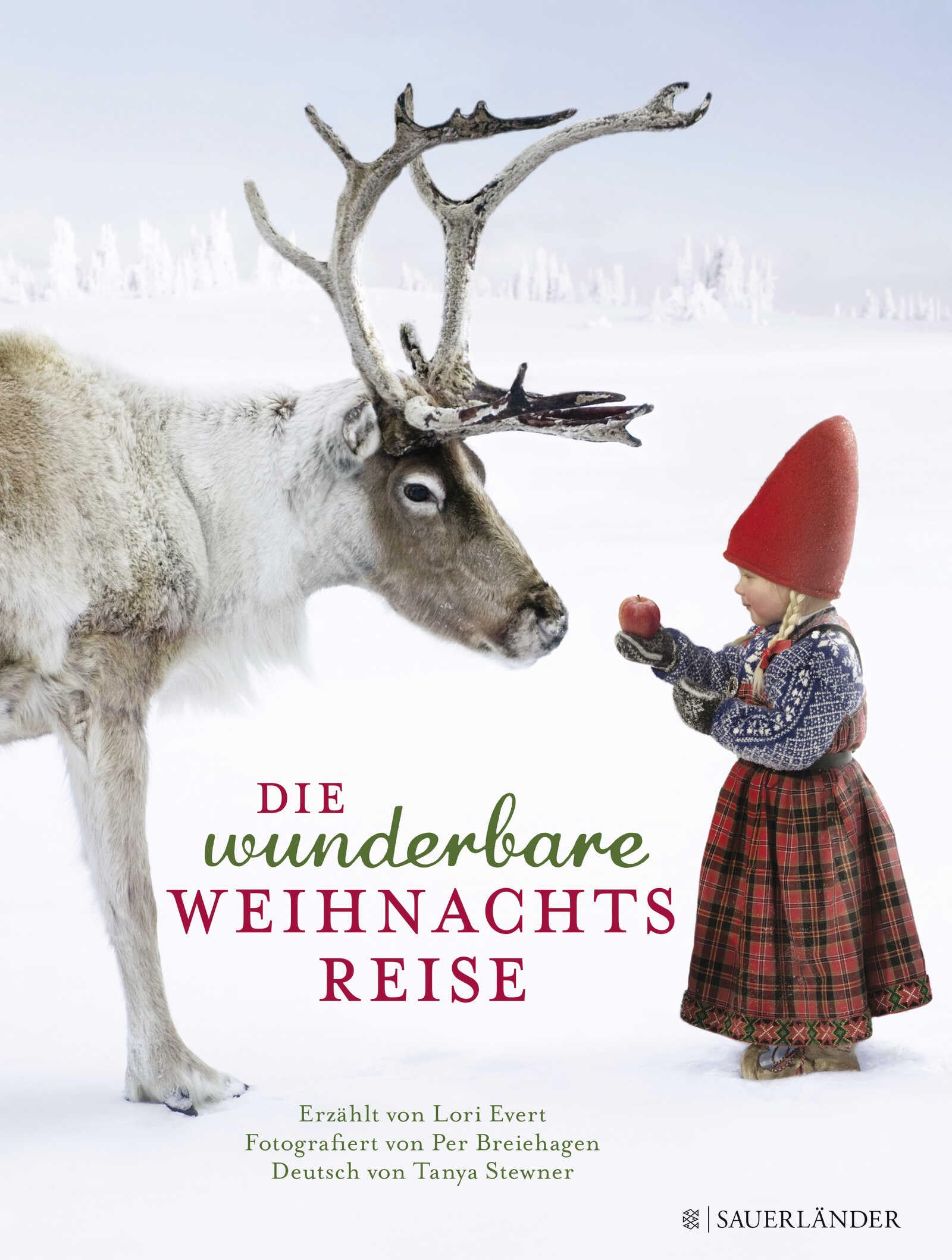 Die wunderbare Weihnachtsreise Non-fiction books for kids
