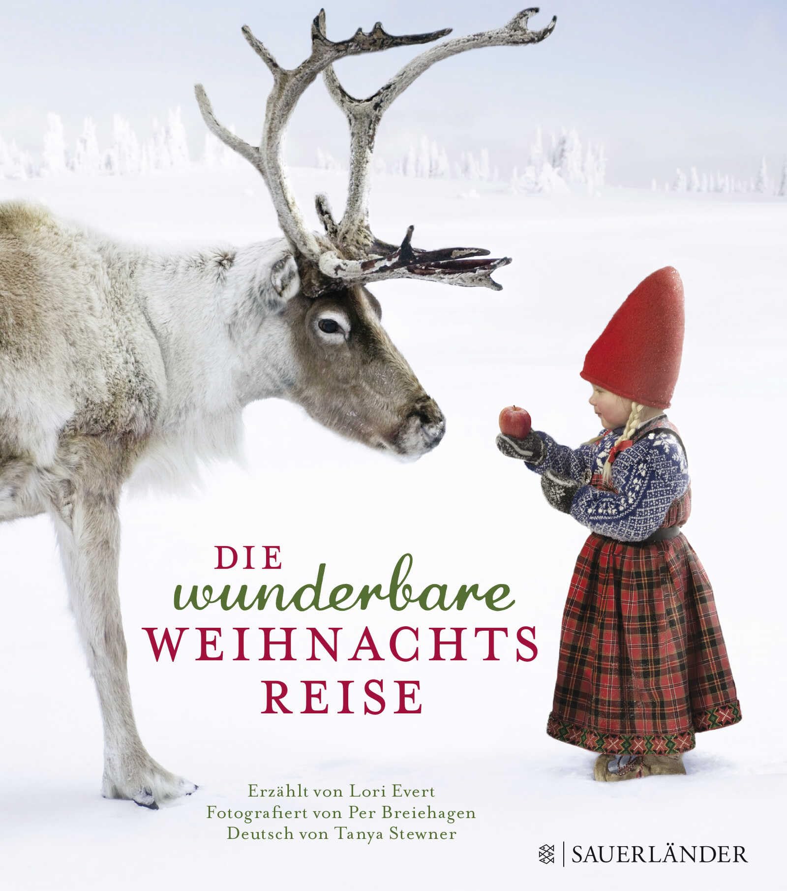 Die wunderbare Weihnachtsreise Non-fiction books for kids