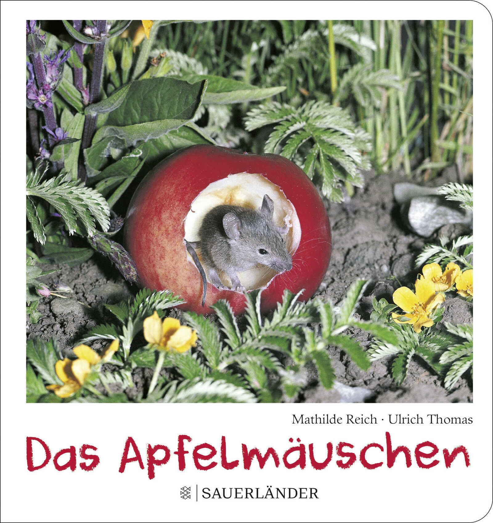 Das Apfelmäuschen (Pappbilderbuch) Social Sciences