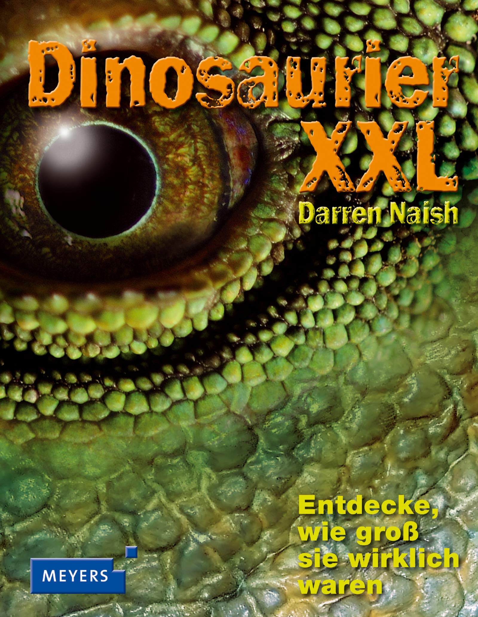 Dinosaurier XXL: Entdecke, wie groß sie wirklich waren! Non-fiction