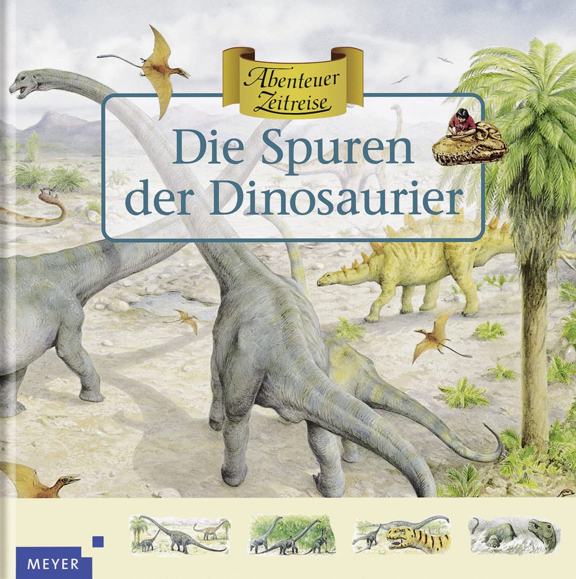 Product Image: Die Spuren der Dinosaurier