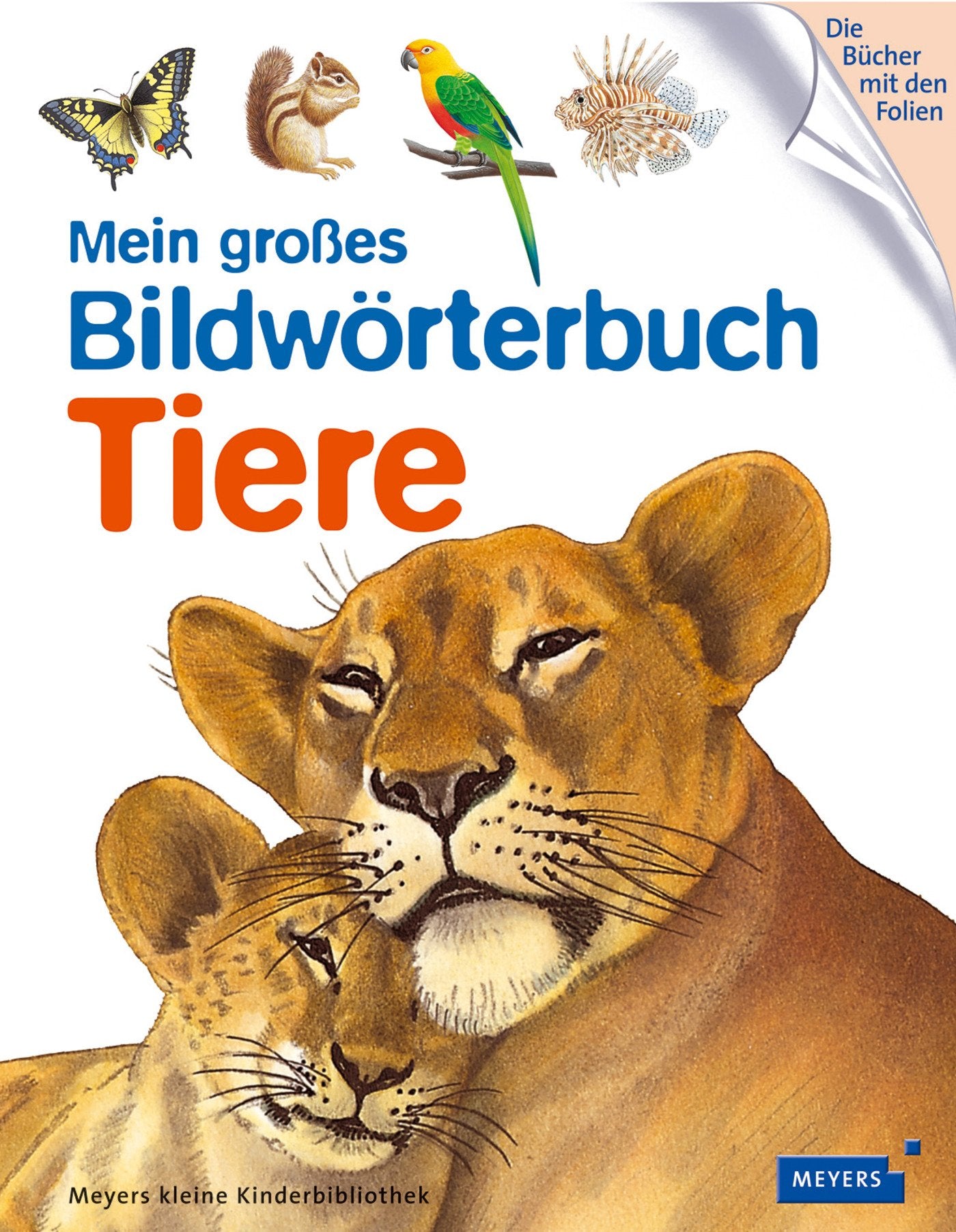 Mein großes Bildwörterbuch Tiere General education