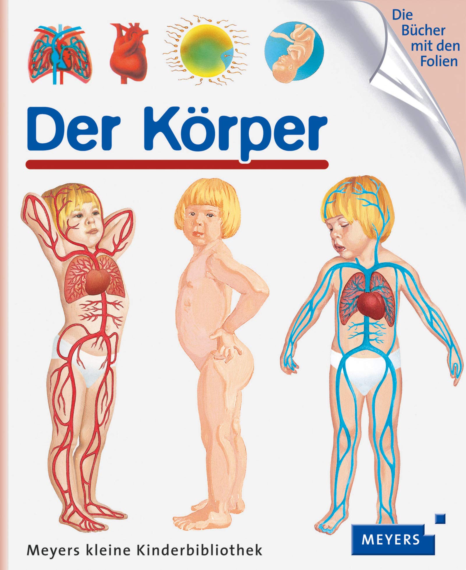 Der Körper: Meyers kleine Kinderbibliothek 38 Essays & Short Stories