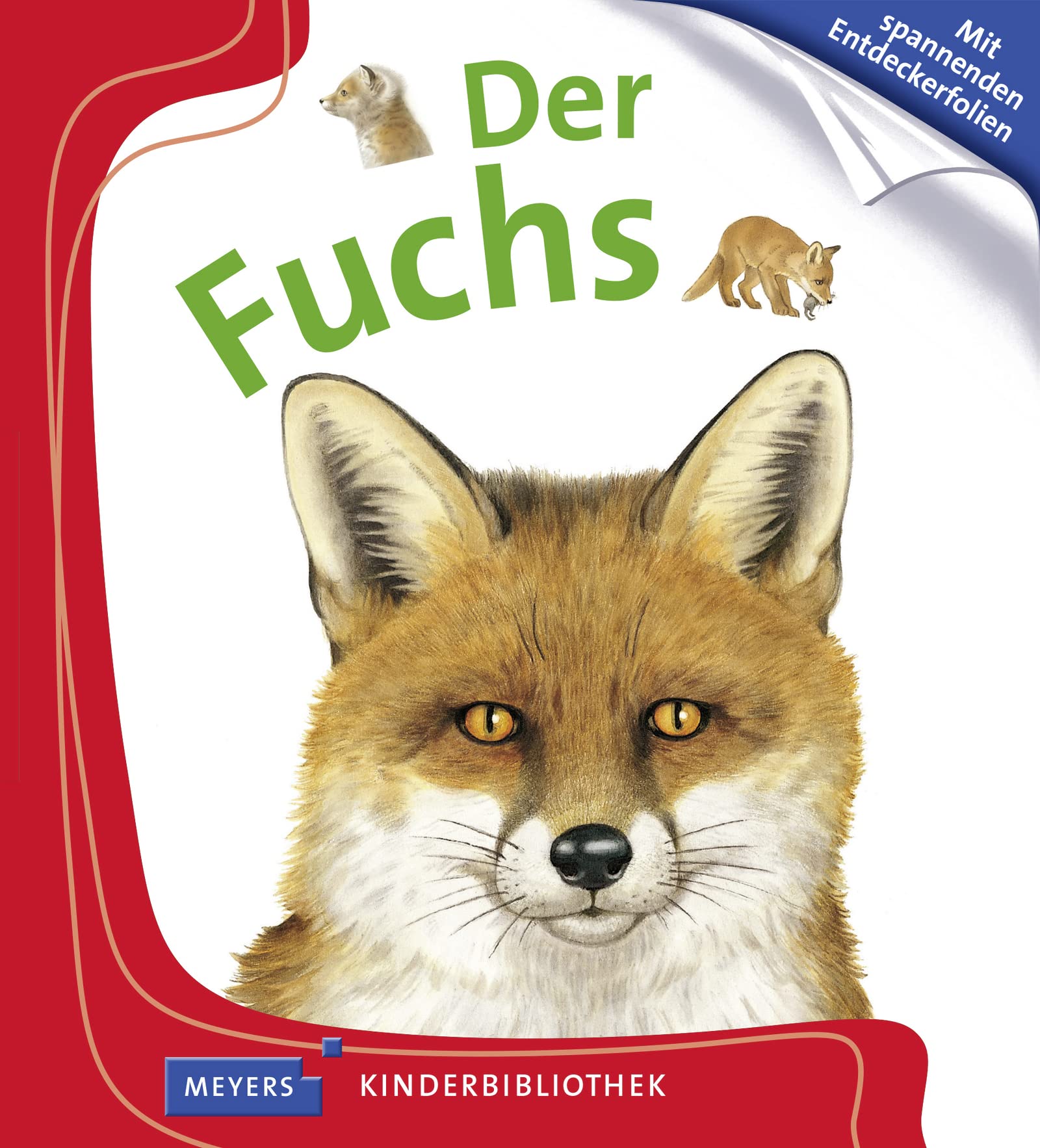 Der Fuchs Essays & Short Stories