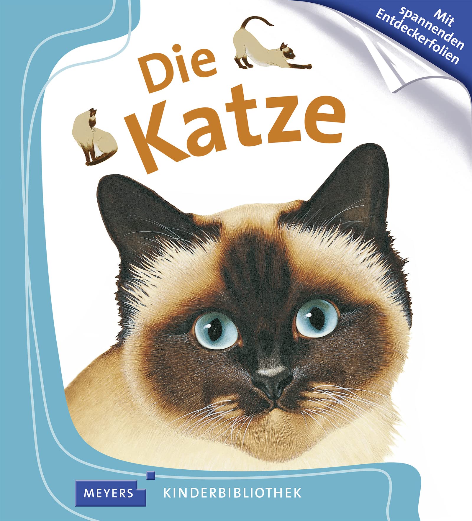 Die Katze Essays & Short Stories