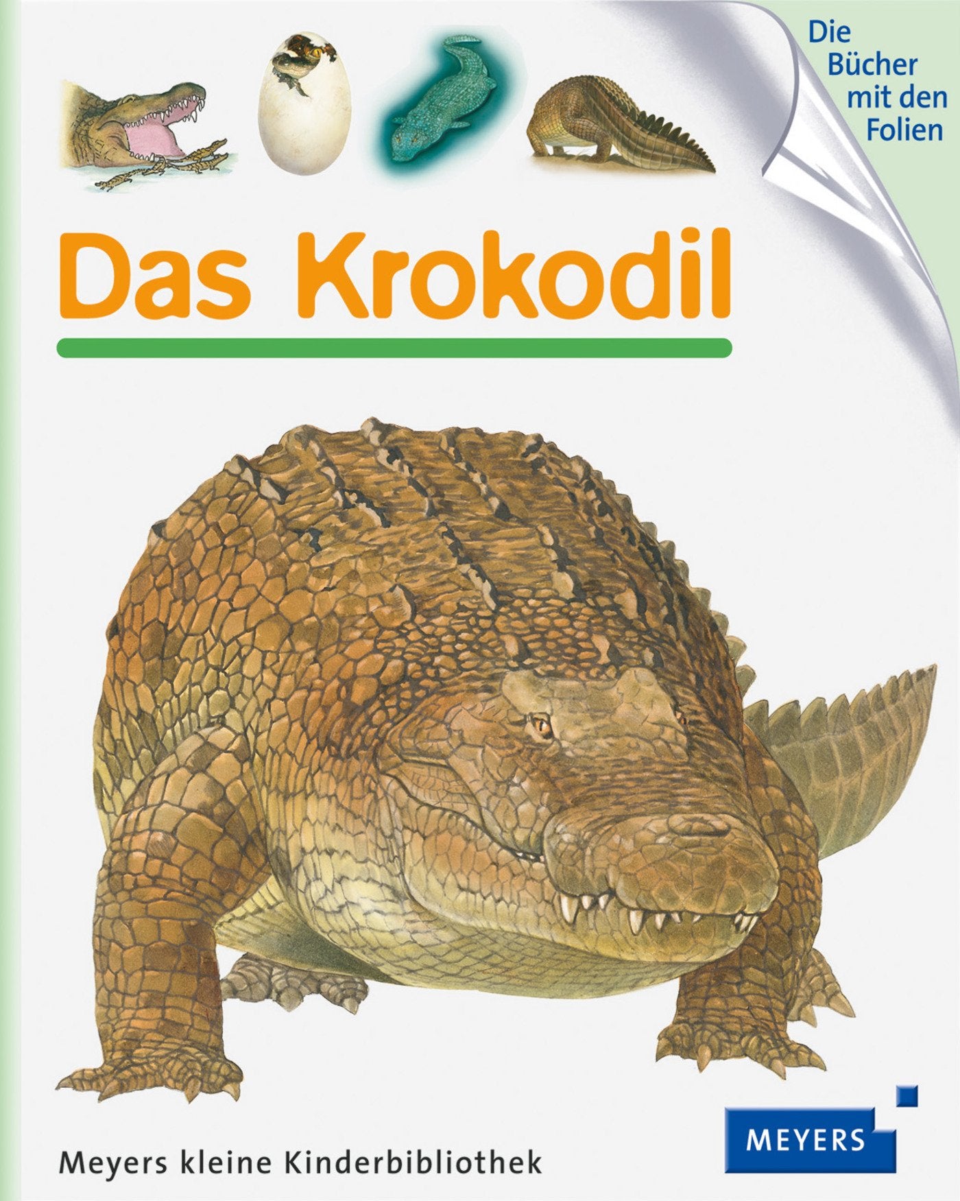 Das Krokodil Essays & Short Stories