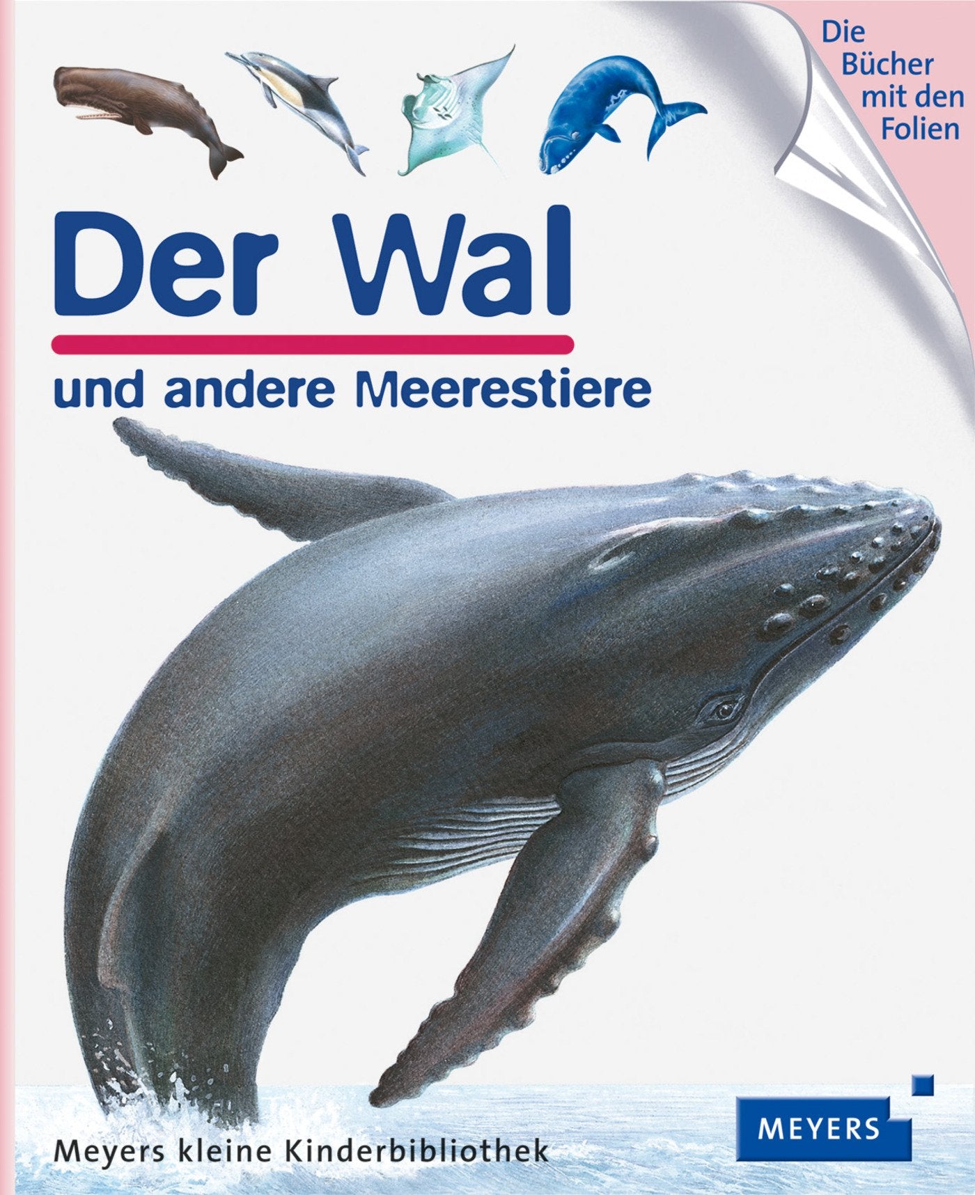 Der Wal Essays & Short Stories