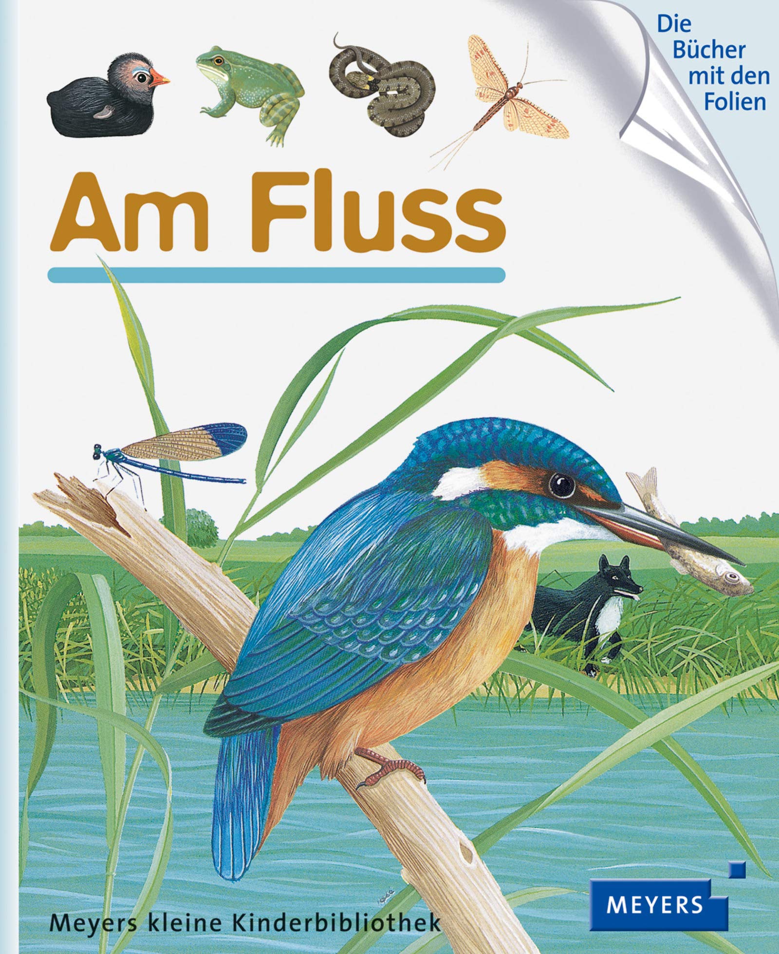 Am Fluss: Meyers kleine Kinderbibliothek 17 Essays & Short Stories