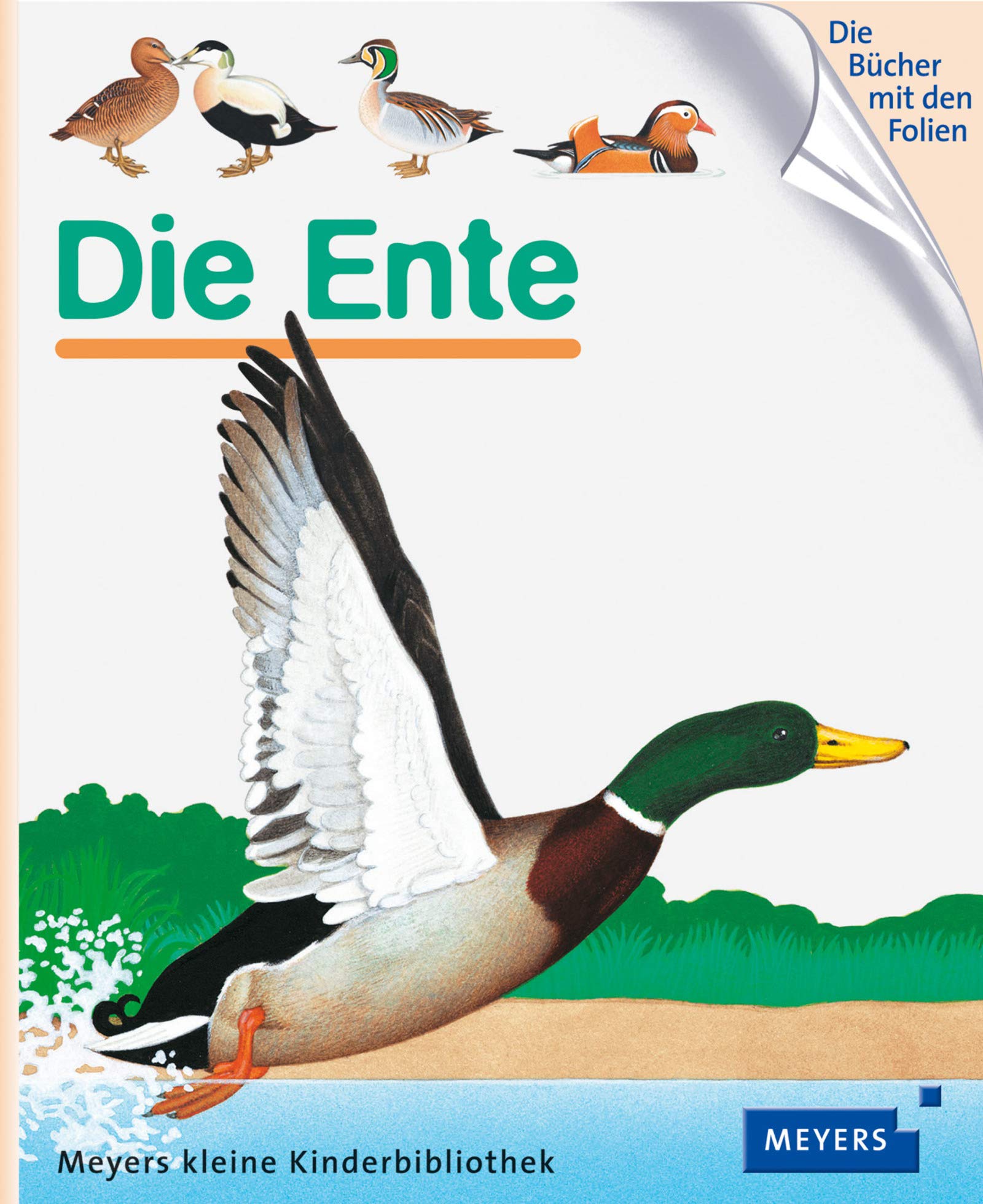 Die Ente: Meyers kleine Kinderbibliothek 64 Essays & Short Stories