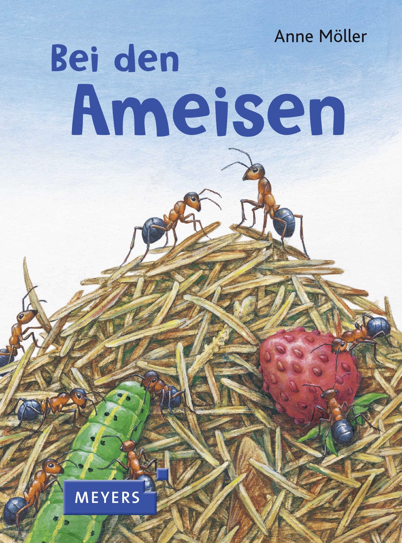 Bei den Ameisen Non-fiction books for kids