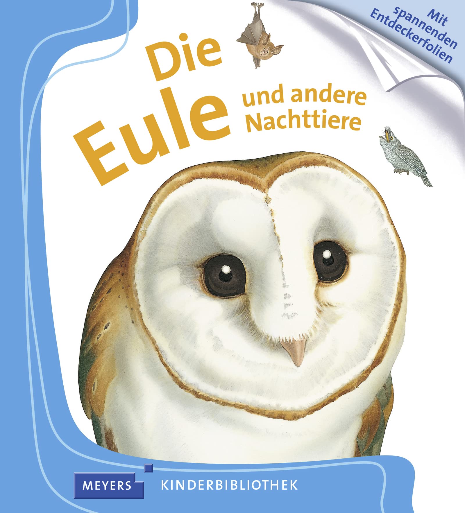 Die Eule und andere Nachttiere Non-fiction books for kids