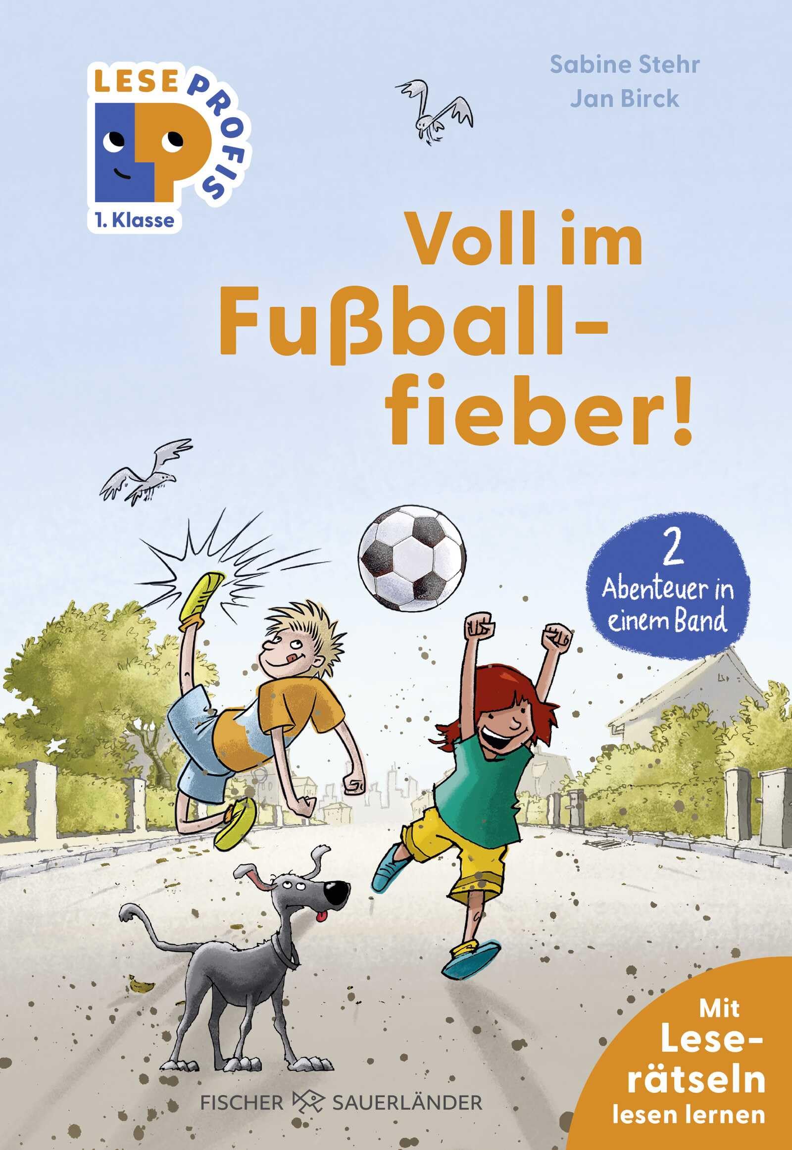 Leseprofis - Voll im Fußballfieber!, 1. Klasse (Doppelband) Non-fiction