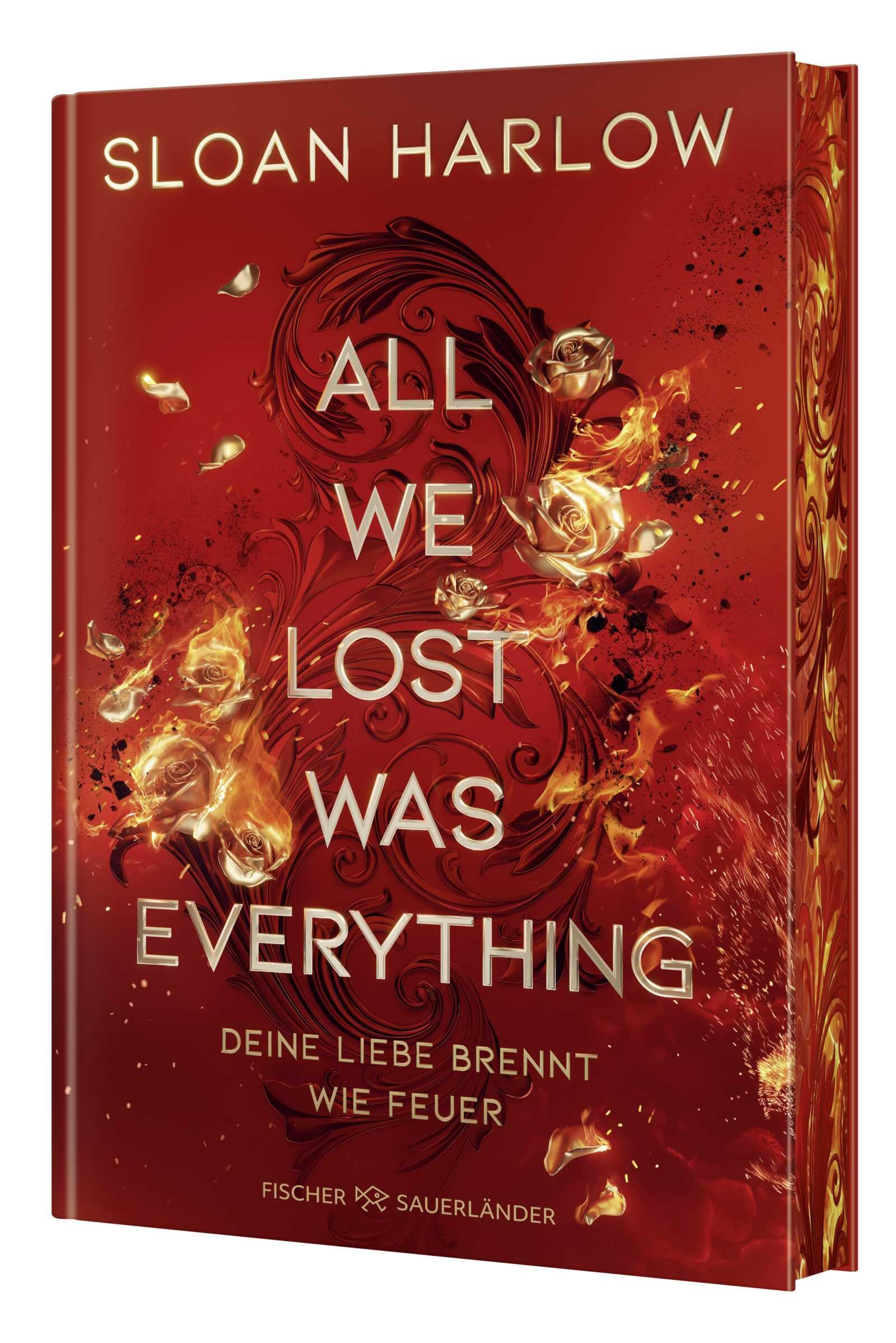All We Lost Was Everything - Deine Liebe brennt wie Feuer Contemporary literature