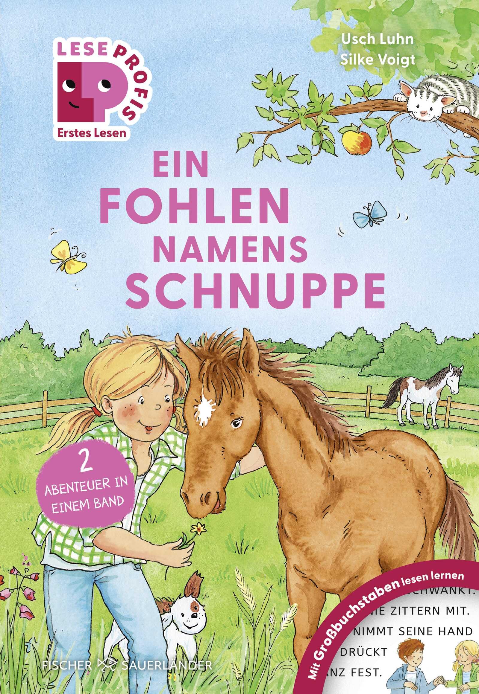 Leseprofis - GROSSBUCHSTABEN: EIN FOHLEN NAMENS SCHNUPPE, 1. Klasse School books