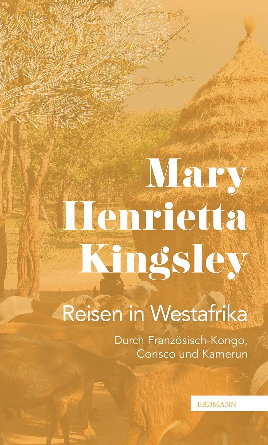 Reisen in Westafrika Politics & Society