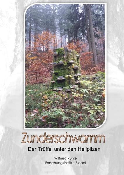 Zunderschwamm - Der Trüffel unter den Heilpilzen Business & Technology