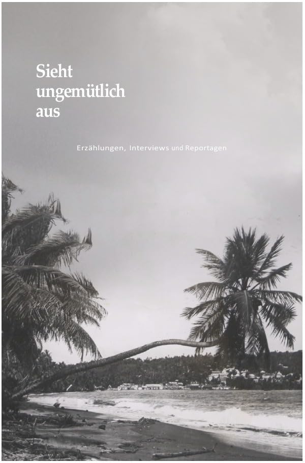 Sieht ungemütlich aus: Erzählungen, Kurzprosa, Interviews und Portraits Essays & Short Stories