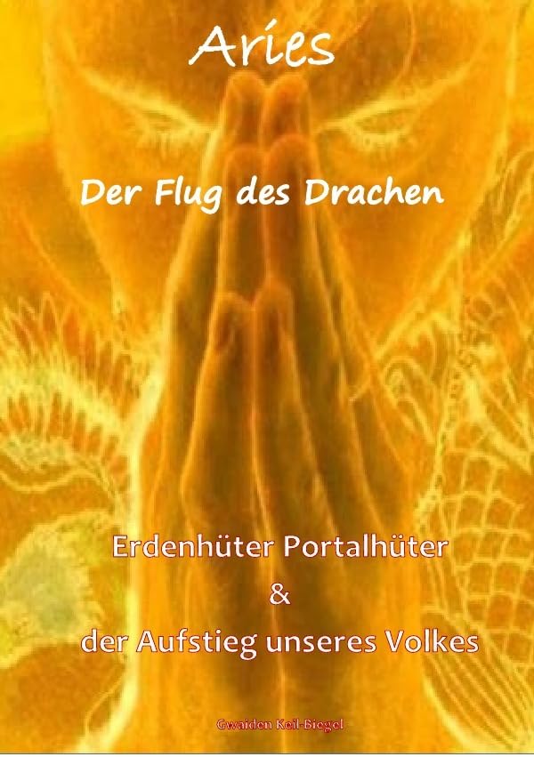 Aries II - Der Flug des Drachen book