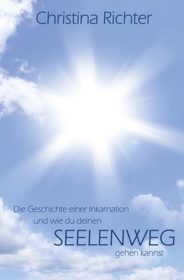 Die Geschichte einer Inkarnation und wie du deinen Seelenweg gehen kannst book