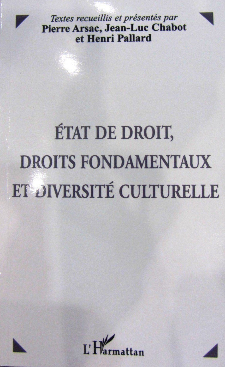 Etat de droit, droits fondamentaux et diversite culturel book
