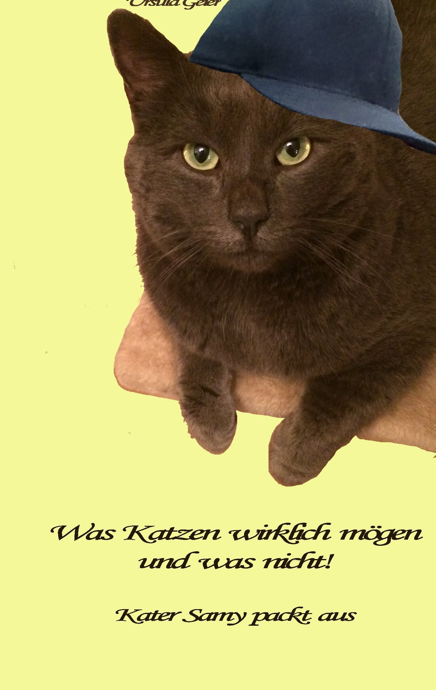 Was Katzen wirklich mögen und was nicht: Kater Samy packt aus Essays & Short Stories