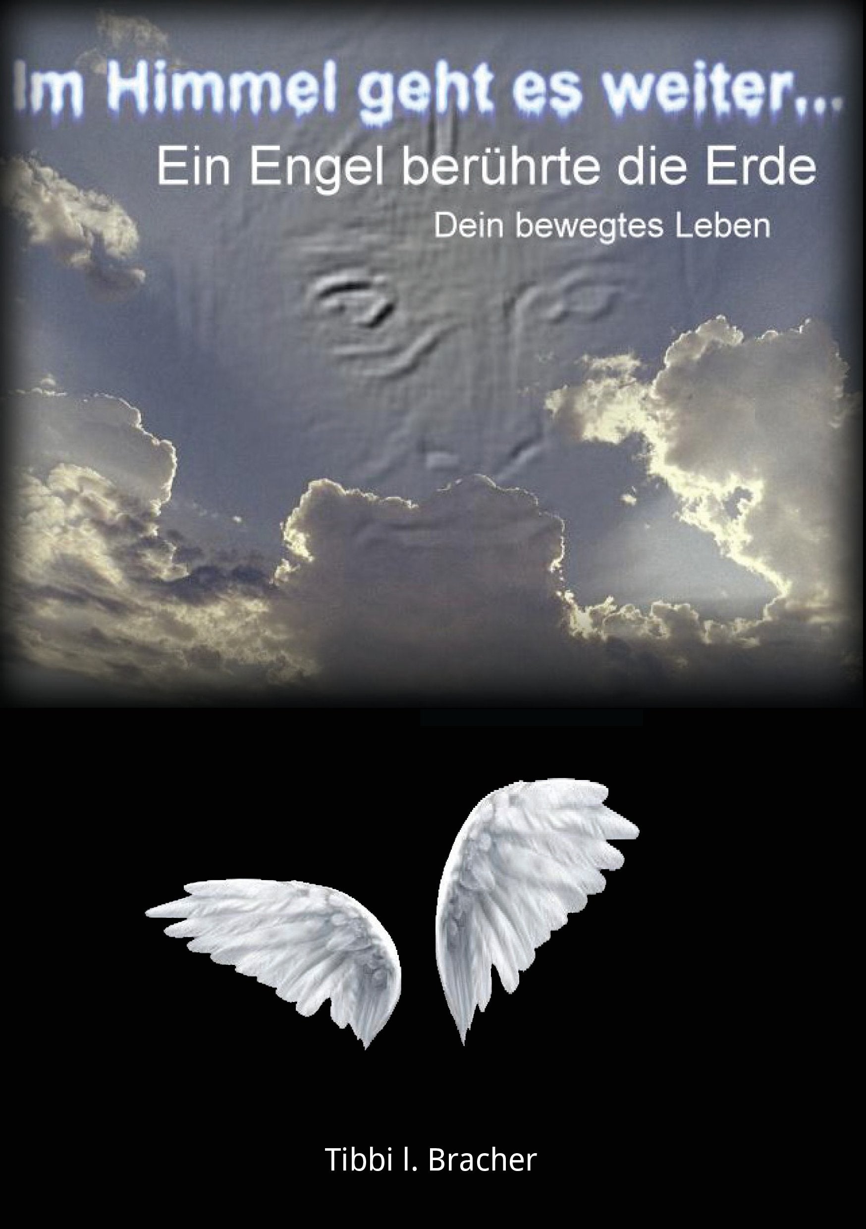 Im Himmel geht es weiter: Ein Engel berührte die Erde. Dein bewegtes Leben Contemporary literature